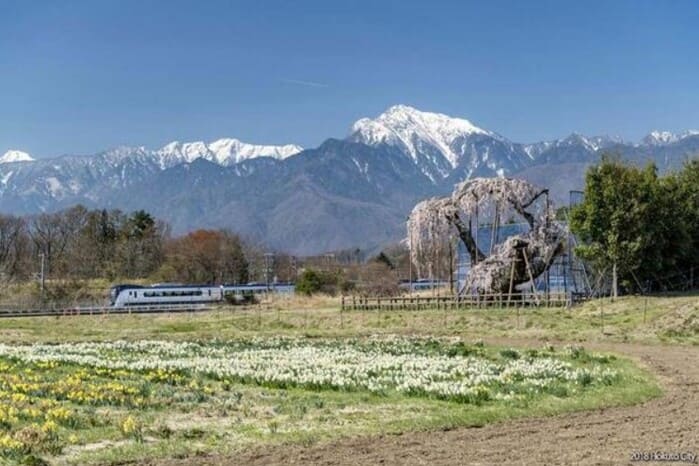 小松菜奈の地元・山梨県北杜市小淵沢の風景